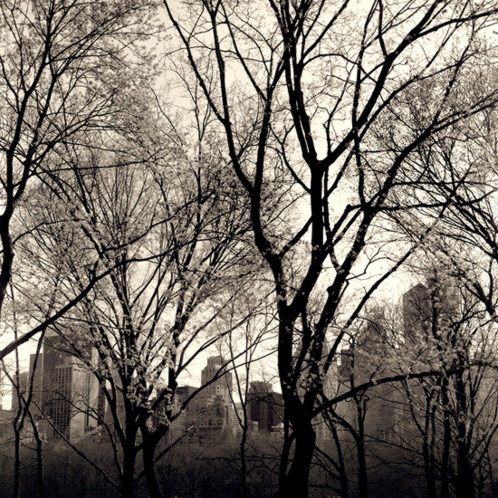 Central Park, New York - photo by Joselito Briones