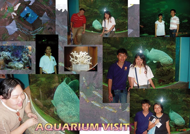 Visitation to Universiti Malaysia Sabah Aquarium (9th September 2006)