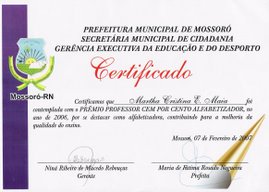 PROFESSORA CEM POR CENTO ALFABETIZADORA