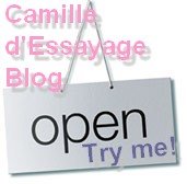 Camille d'Essayage blog