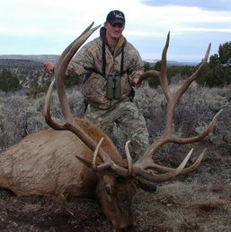 The New state record bull!