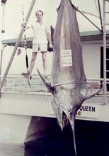 Marlin noir (Cairns) capturé à bord de "Avalon" skippé par le Capt Peter Bristow