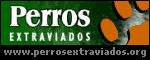 www.perrosextraviados.org