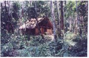 Casa Rustica en la Selva