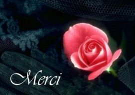 merci pour votre visite