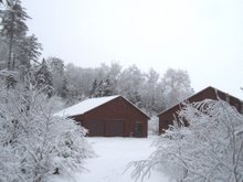Fresh Snow At The Camp