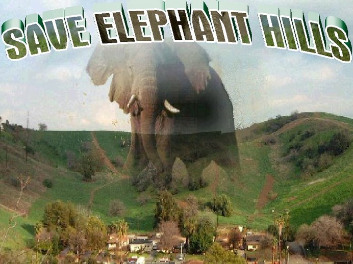 Save Elephant Hills Flyer