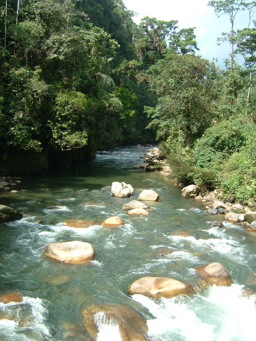 Rio Jondachi