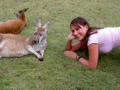 Chillin with the Roo's