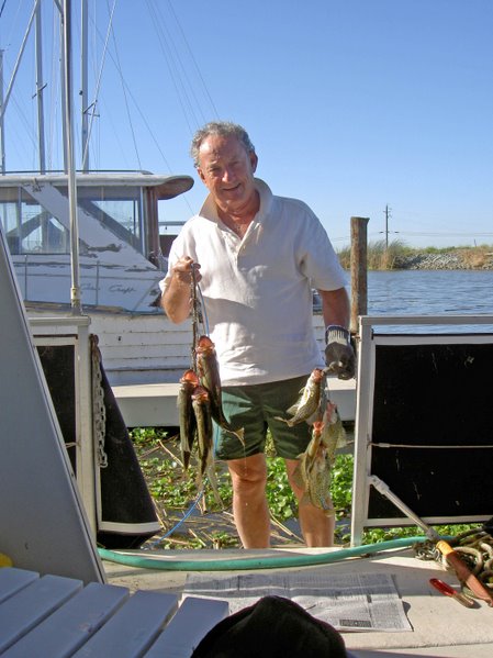 Normal number of catches each day on houseboat