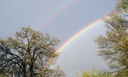 A Double Rainbow