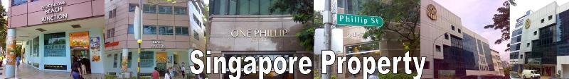 SINGAPORE PROPERTY