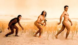 Human Evolution