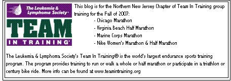 Team In Training Northern New Jersey Blog