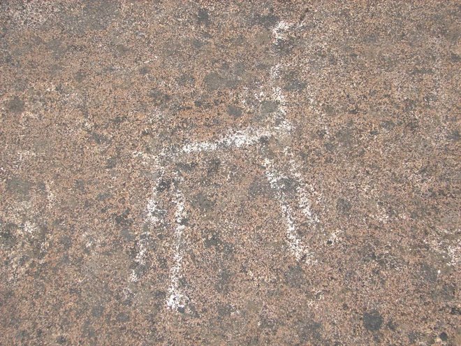 Circuito Pehuenia - Piedra Pintada (grabados rupestres)