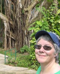 Me and the Banyan Tree