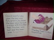 The Bear, The Boy & The Book