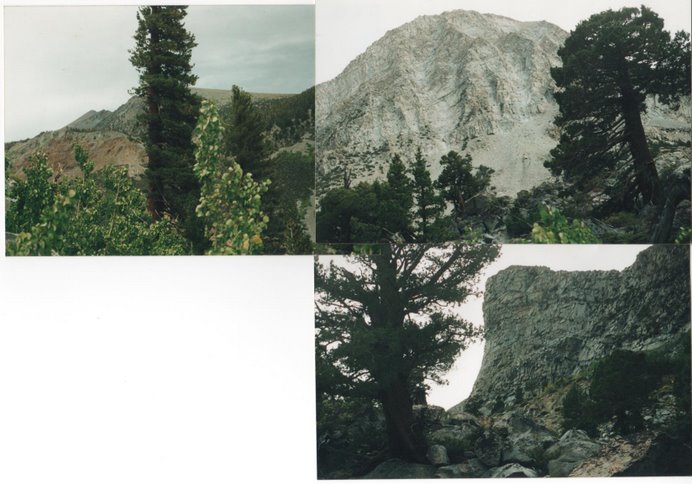 Yosemite photo collage