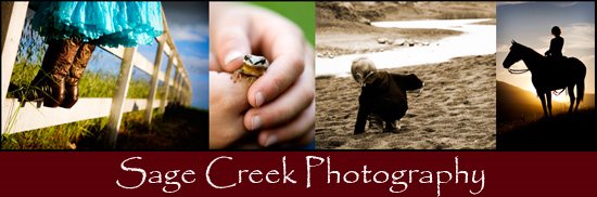 Sage Creek Photography