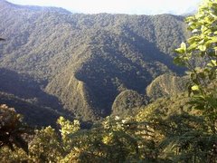 Serra do Itajaí - Floresta Ombrófila Densa