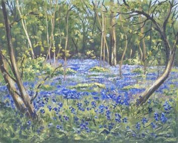 BLUEBELL WOODS (plein air painting)