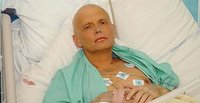 The Kremlin Pedophile Litvinenko