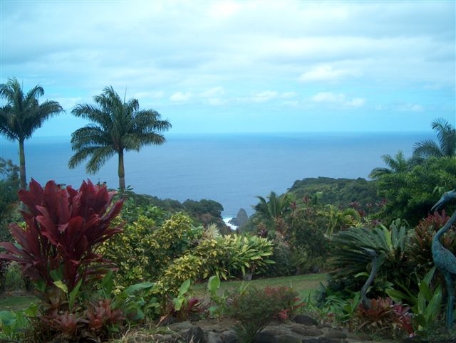 Maui - The Magic Isle