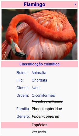 Classificação do Flamingo