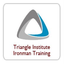 Triangle Institute