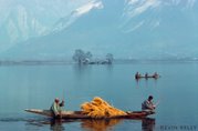 Dal Lake - Kashmir
