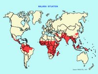 Malaria epidemic