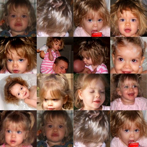 The Many Faces of Shelby