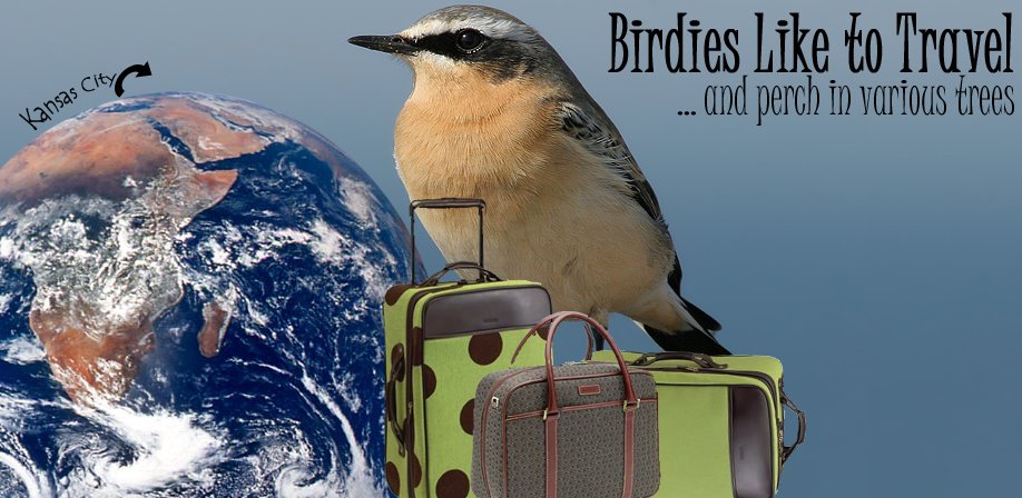 Waldo Oiseau's Travel Journal