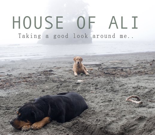 HOUSE OF ALI