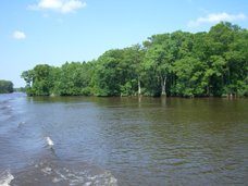 Waccamaw River