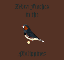 Zebra Finches in the Philippines