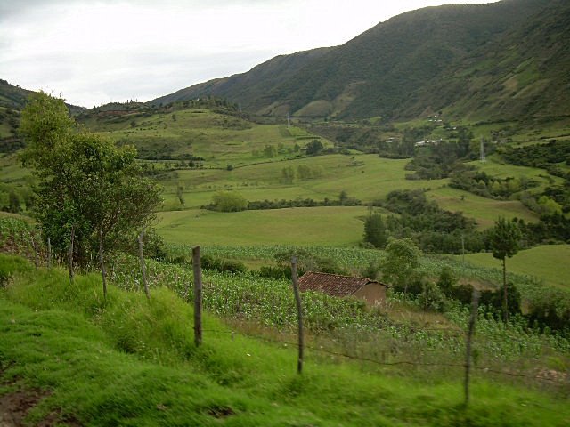paisaje rural