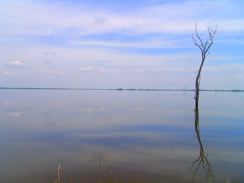 Nuestro lago