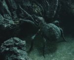 Shelob - Spider of Darkness