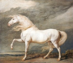 "Adonis", King George III's favorite charger