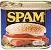 ABSOLUTELY NO SPAM on this BLOG