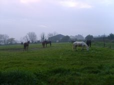 Découverte du gîte et de son environnement...rural