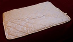 Magnet Therapy Pad