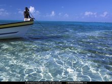 crystal clear waters of Belize
