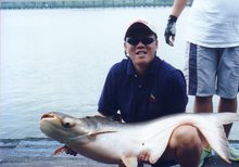 Mekong Catfish (Bung San Lan) Thailand