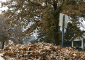 Fall Time
