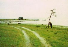 Sacrificio. Andrei Tarkovsky