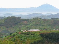 Rwandan Country Side