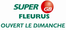 GB Partner - Fleurus