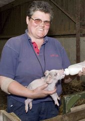 Janet Ambler feeding runt piglet